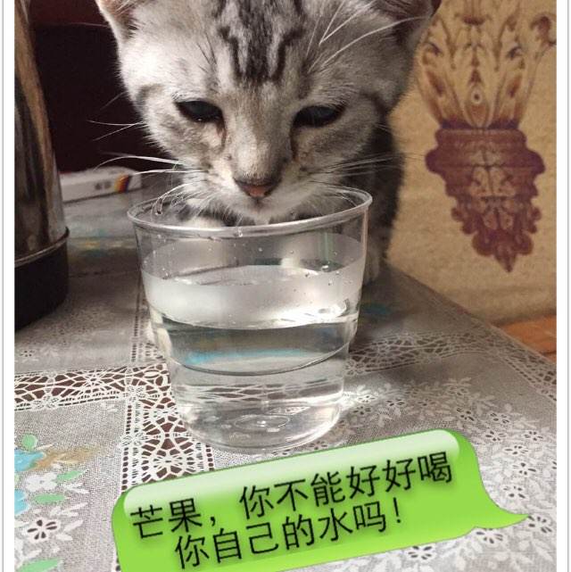 代办仿真组织代码证